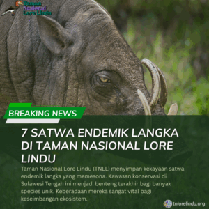 7 Satwa Endemik Langka di Taman Nasional Lore Lindu