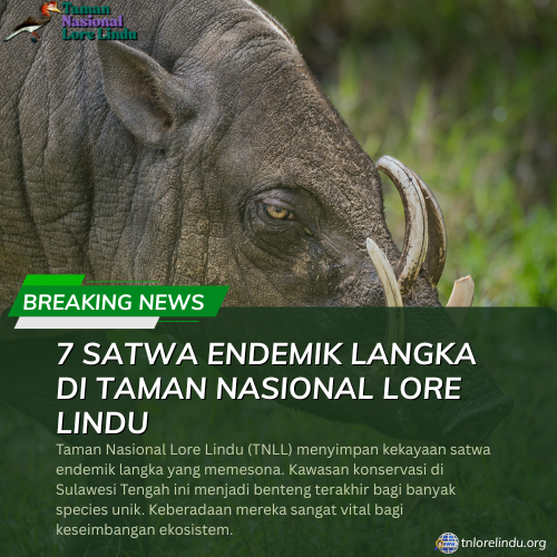 7 Satwa Endemik Langka di Taman Nasional Lore Lindu