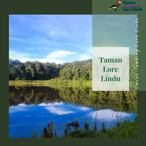 Danau Tambing Lore Lindu