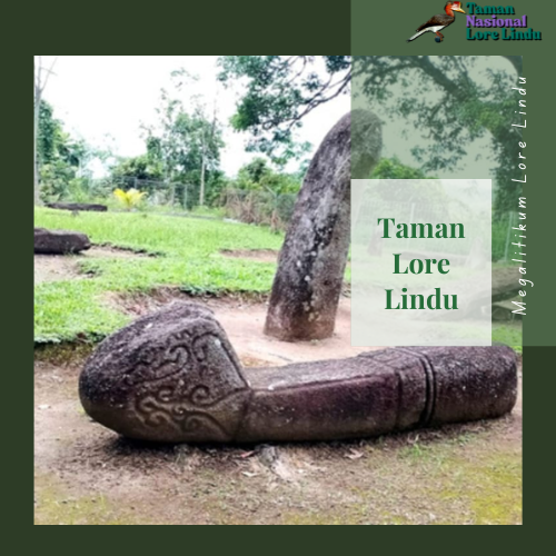 Menyediakan Ruang untuk Penelitian dan Pendidikan Lingkungan Hidup