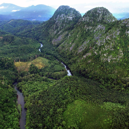 Pemanfaatan Berkelanjutan melalui Ekowisata dan Penelitian