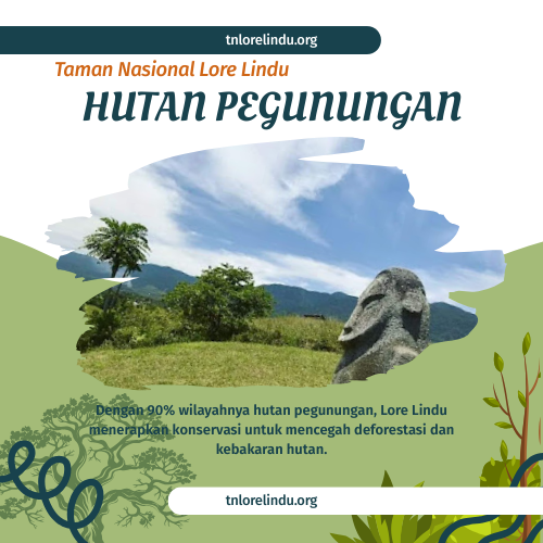 Pengelolaan Ekosistem Hutan Pegunungan
