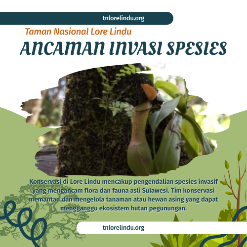 Pengendalian Ancaman Invasi Spesies