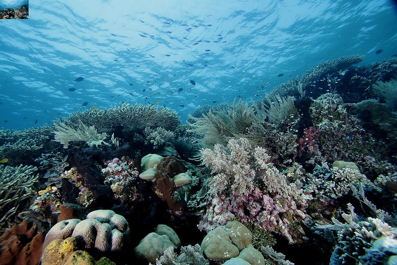 Taman Nasional Bunaken
