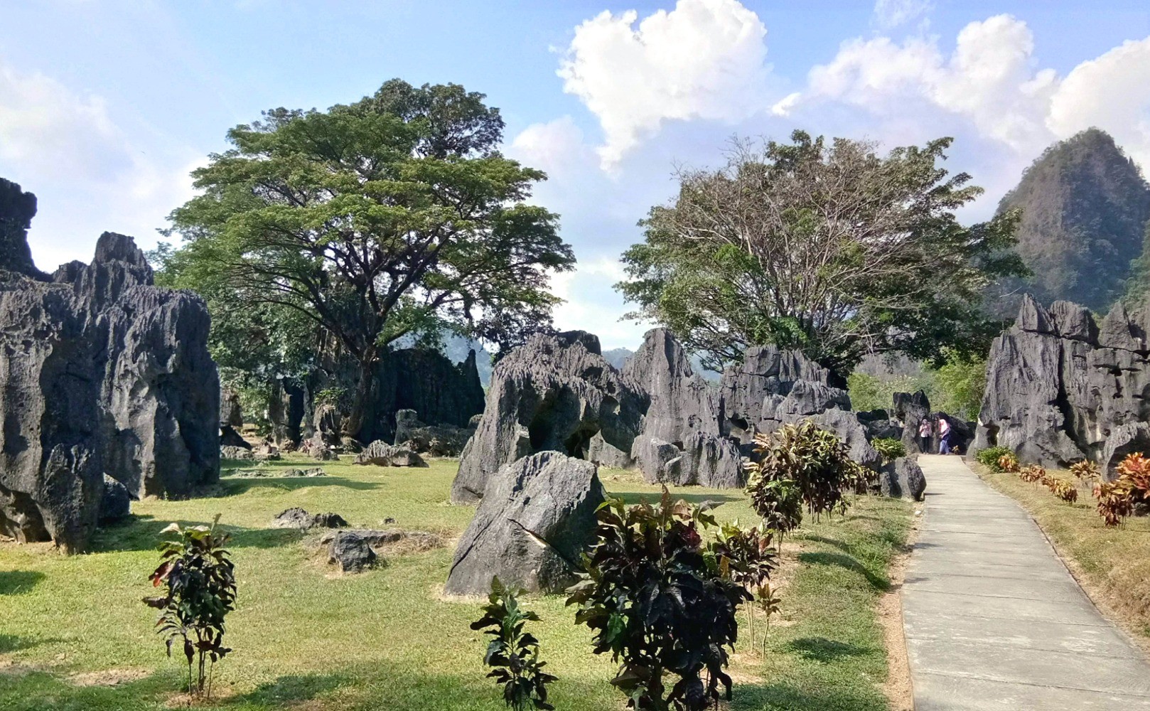 Taman Nasional Bantimurung Bulusaraung (Sulawesi Selatan)