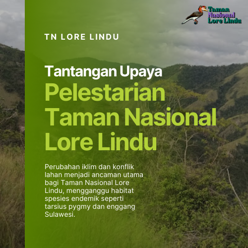 Tantangan dan Upaya Pelestarian Taman Nasional Lore Lindu